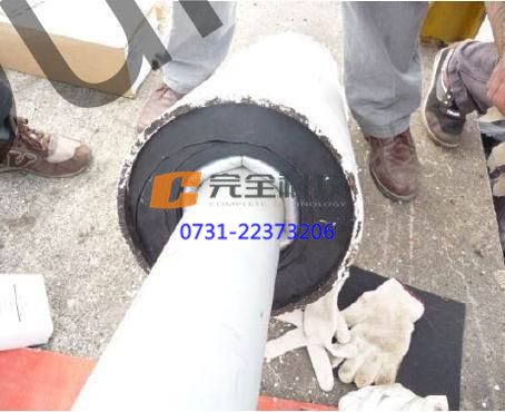 新型拉索密封體系結(jié)構(gòu)示意圖