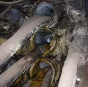 電纜孔洞封堵材料