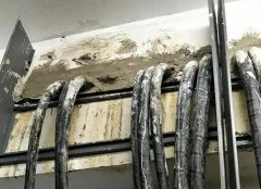 ��|�ܵ���·�����(f��)��(f��)�Εr��